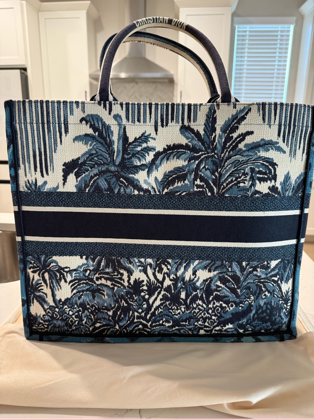 Dior Blue and White Toile Canvas Tote - Picture 5 of 10